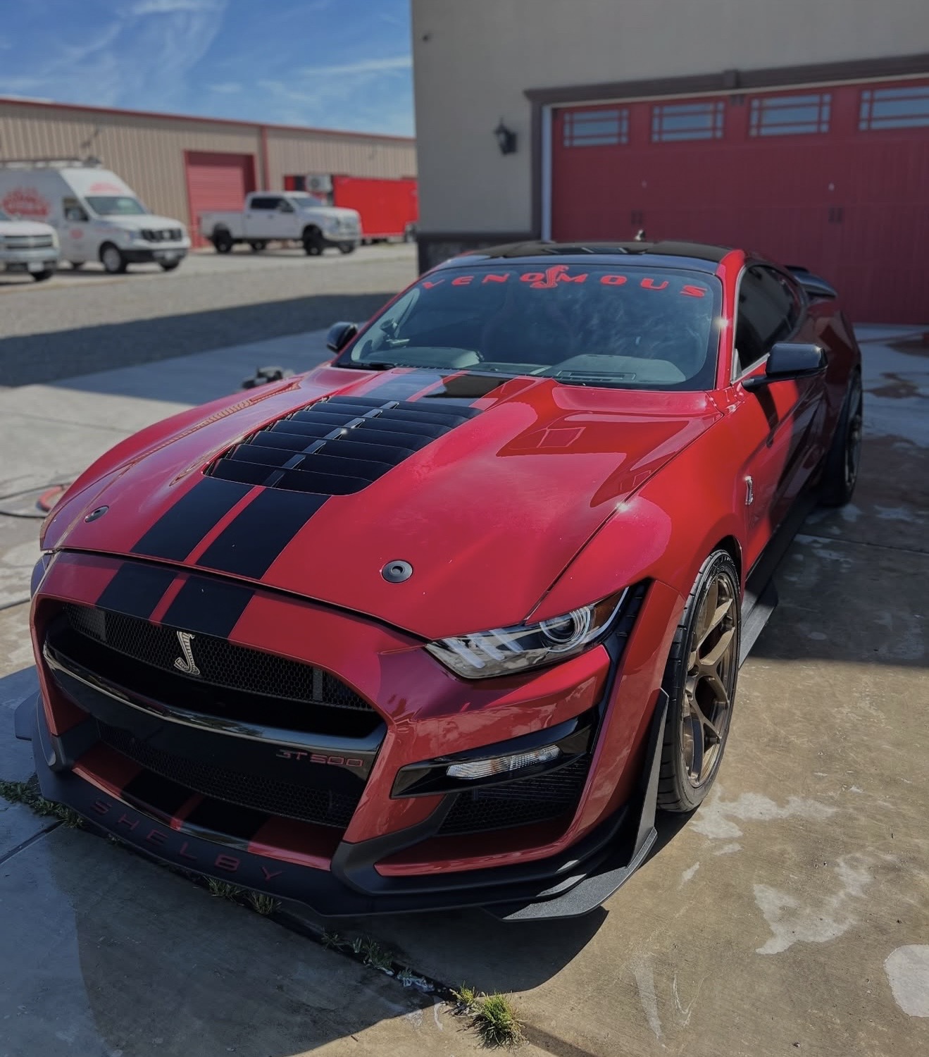 Shelby GT500 Exterior Detail